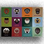 STANDARD A6 POSTCARD